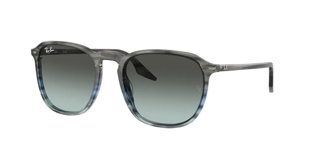 Occhiali da sole Ray-Ban RB2203 1391GK