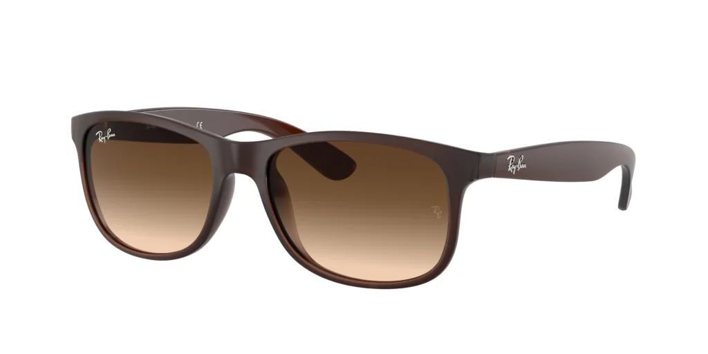Occhiali da sole Ray-Ban RB4202 607313 ANDY