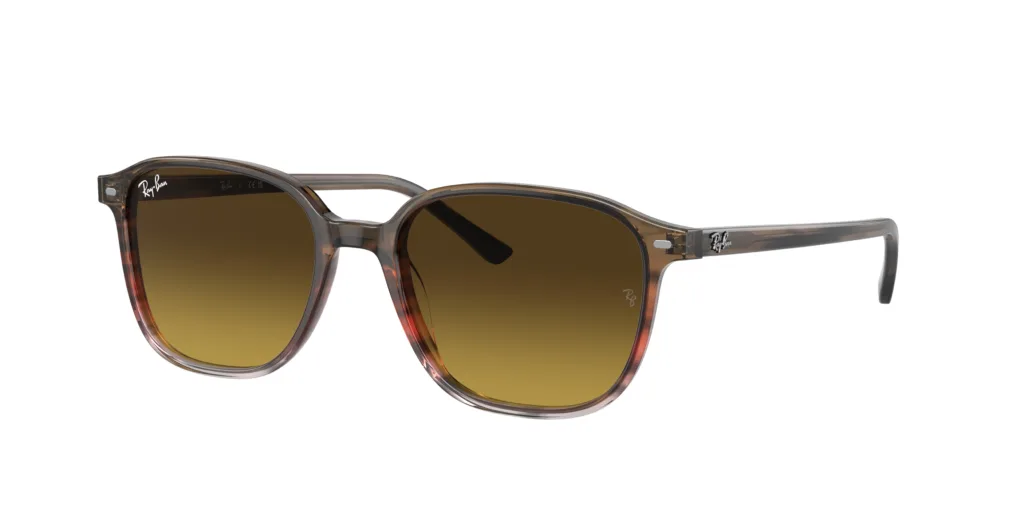 Occhiali da sole RAY-BAN RB2193 138085 LEONARD