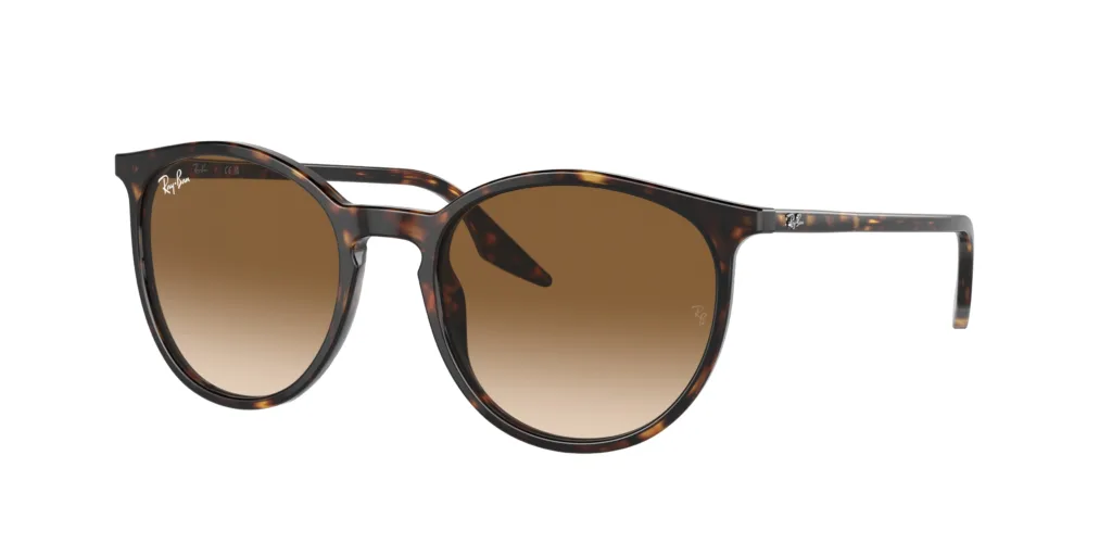Occhiali da sole RAY-BAN RB2204 901/31